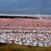 Kenya Lake System by Solivagant