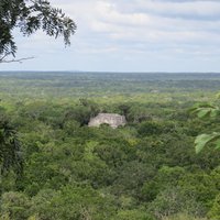 Calakmul by Els Slots