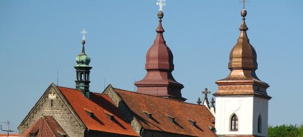 Trebic
