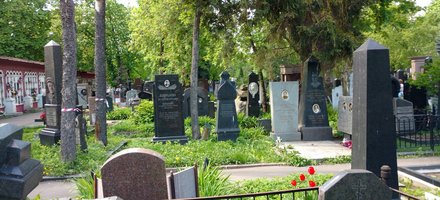Novodevichy Convent