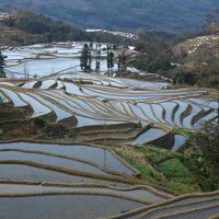 Hani Rice Terraces