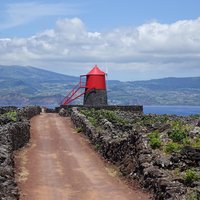 Pico Island by Els Slots