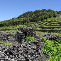 Pico Island