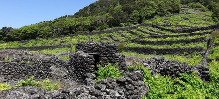 Pico Island
