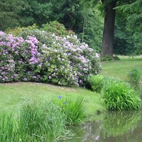 Muskauer Park