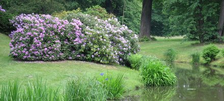 Muskauer Park