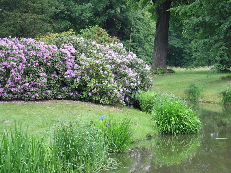 Muskauer Park by Els Slots