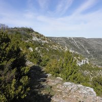 Causses and Cévennes