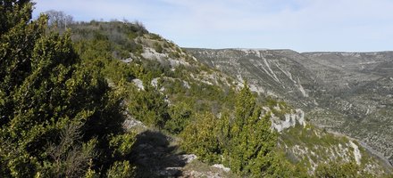Causses and Cévennes