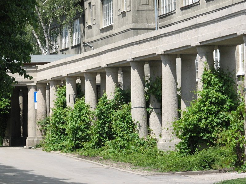 Centennial Hall by Els Slots