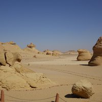 Wadi Al-Hitan