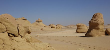 Wadi Al-Hitan