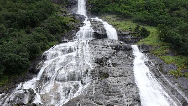 Taiga: Unesco World Heritage Sites