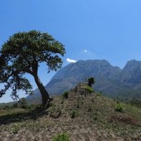 Mount Mulanje Cultural Landscape