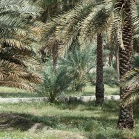Aflaj irrigation system