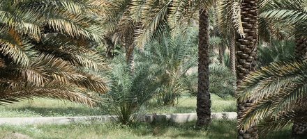 Aflaj irrigation system