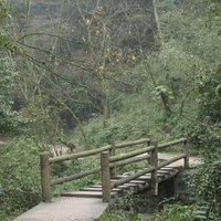 Sichuan Giant Panda Sanctuaries