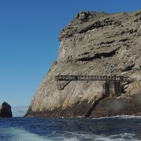Malpelo