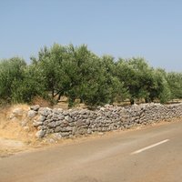 Stari Grad Plain by Els Slots