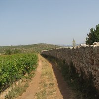 Stari Grad Plain