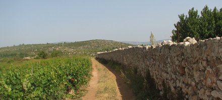 Stari Grad Plain