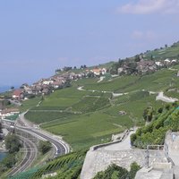 Lavaux, Vineyard Terraces