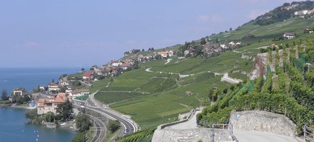 Lavaux, Vineyard Terraces