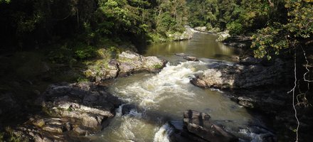 Rainforests of the Atsinanana