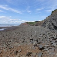 Joggins Fossil Cliffs by Els Slots