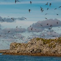 Phoenix Islands by Luis Filipe Gaspar