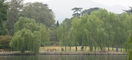 West Lake