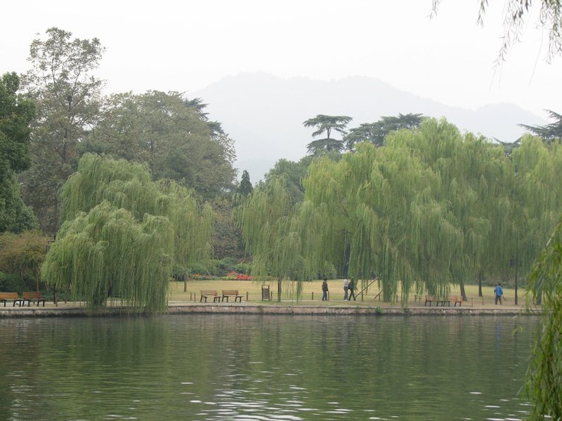 West Lake by Els Slots