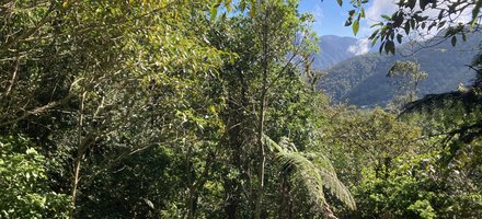 Blue and John Crow Mountains