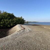 Saloum Delta by Els Slots