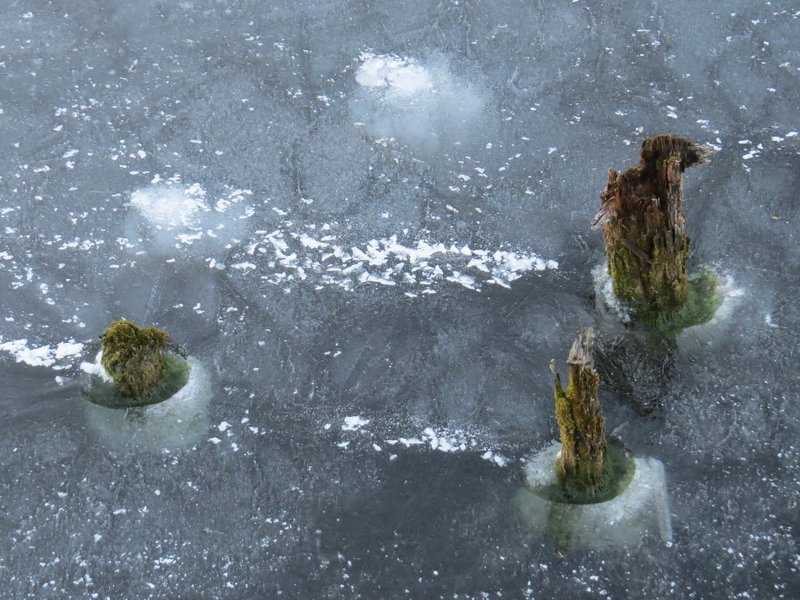 Prehistoric Pile Dwellings by Els Slots