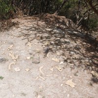 Melka Kunture and Balchit by Michael Novins