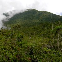 Mount Hamiguitan