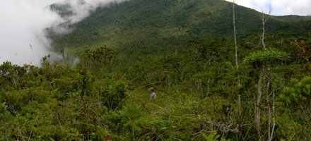 Mount Hamiguitan