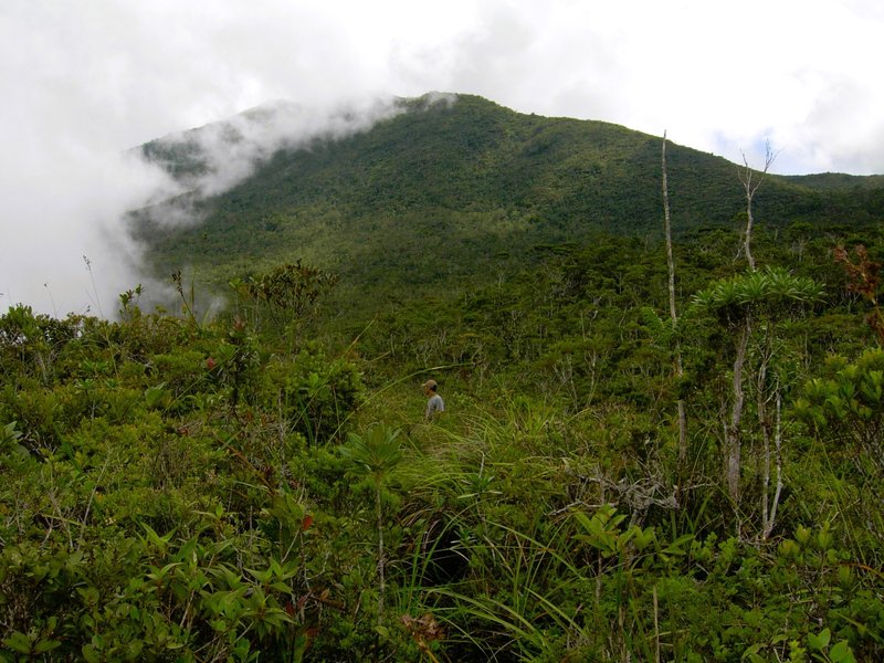 Mount Hamiguitan by Boj