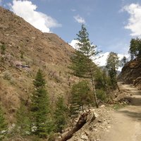 Great Himalayan National Park by Jarek Pokrzywnicki