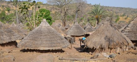 Bassari Country