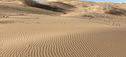 El Pinacate