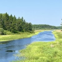 Pimachiowin Aki