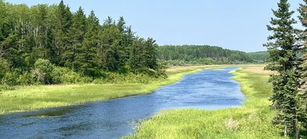 Pimachiowin Aki