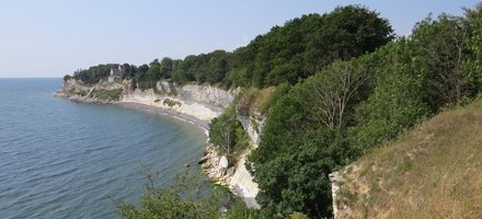 Stevns Klint