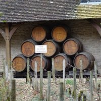 Burgundy by Els Slots