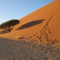 Namib Sand Sea by Els Slots