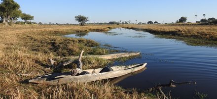 Okavango Delta