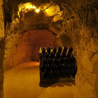 Champagne by Els Slots