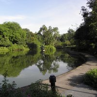 Singapore Botanic Gardens 